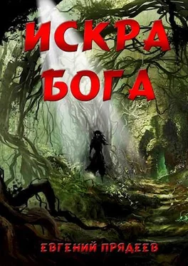 Евгений Прядеев Искра Бога [СИ] обложка книги