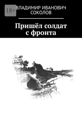 Владимир Соколов Пришёл солдат с фронта обложка книги