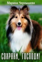 Марина Чернышева - Сохрани, Господи!