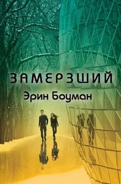 Эрин Боумэн Замерзший обложка книги