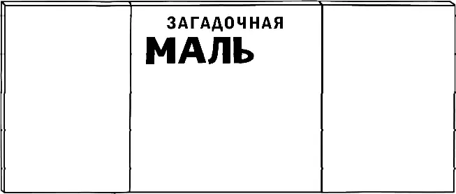 Баллы за этот проект составляли 50 от общей оценки по обществоведению - фото 22