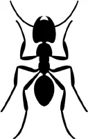 Эдвард Уилсон Берт Хёлльдоблер Путешествие к муравьям Посвящается Фредерике - фото 1