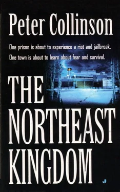 The Kingdom Peter Collinson обложка книги