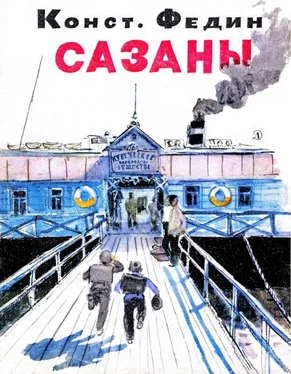 Константин Федин Сазаны обложка книги