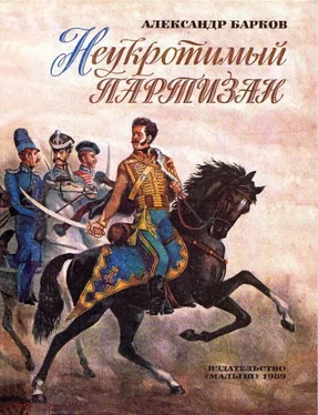 Александр Барков Неукротимый партизан обложка книги