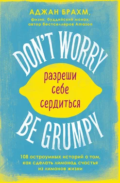 Аджан Брахм Don't worry. Be grumpy. Разреши себе сердиться. 108 коротких историй о том, как сделать лимонад из лимонов жизни обложка книги