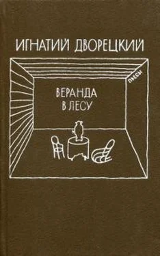 Игнатий Дворецкий Веранда в лесу обложка книги