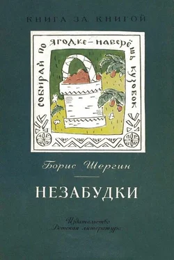 Борис Шергин Незабудки [авторский сборник] обложка книги