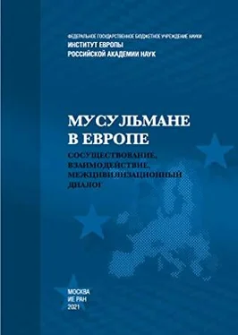 Ирина Бабич Мусульмане в Европе: Сосуществование, взаимодействие, межцивилизационный диалог обложка книги