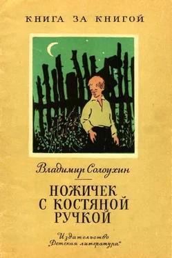 Владимир Солоухин Ножичек с костяной ручкой [авторский сборник] обложка книги