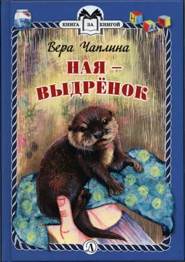 Вера Чаплина Ная - выдрёнок обложка книги