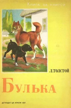 Лев Толстой Булька [авторский сборник; издание 3-е] обложка книги