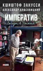 Александр Красовицкий - Императив. Беседы в Лясках