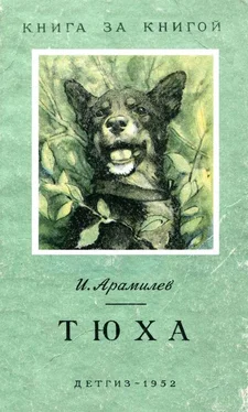 Иван Арамилев Тюха [авторский сборник] обложка книги