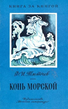 Федор Тютчев Конь морской [авторский сборник, изд. 2-е] обложка книги