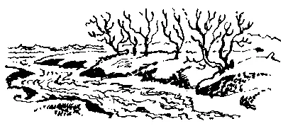 ВЕСЕННИЕ ВОДЫ Ещё в полях белеет снег А воды уж весной шумят Бегут и - фото 21