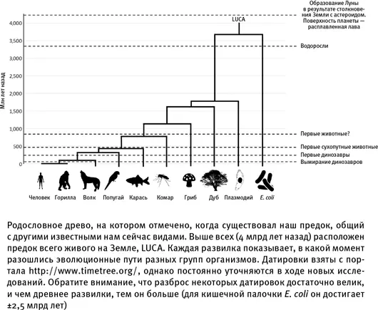 Важно ли это Вероятно важно В многочисленных научнофантастических - фото 8