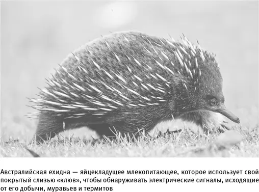 Мы не можем быть уверены что учли все возможные коммуникативные - фото 22
