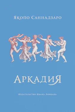 Якопо Саннадзаро Аркадия обложка книги