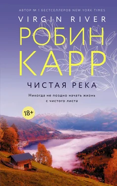 Робин Карр Чистая река обложка книги