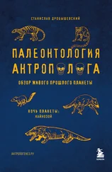 Станислав Дробышевский - Палеонтология антрополога. Том 3. Кайнозой