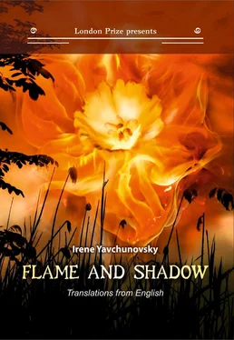 Ирина Явчуновская-Рапопорт Пламя и тень / Flame and shadow обложка книги