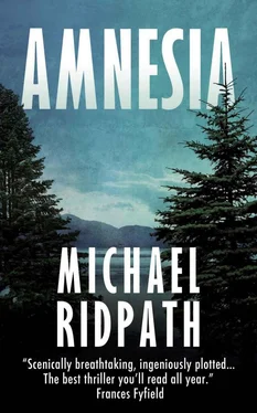 Michael Ridpath Amnesia обложка книги