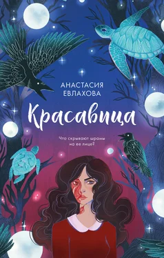 Анастасия Евлахова Красавица [litres] обложка книги