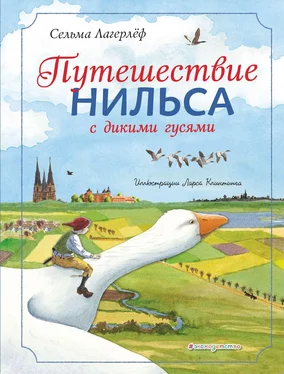 Сельма Лагерлёф Путешествие Нильса с дикими гусями обложка книги