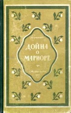 Нинель Громыко Дойна о Мариоре обложка книги