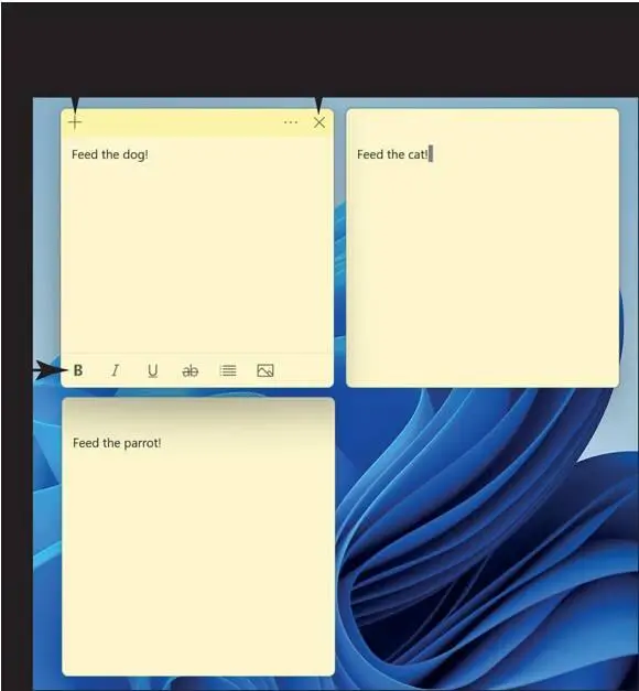 Windows 11 For Seniors For Dummies - изображение 371