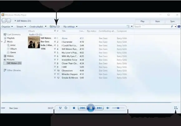 FIGURE 123 ShuffleSelect this button to turn on shuffle which randomly - фото 460