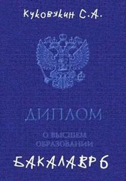 Сергей Куковякин Бакалавр 6 [СИ] обложка книги