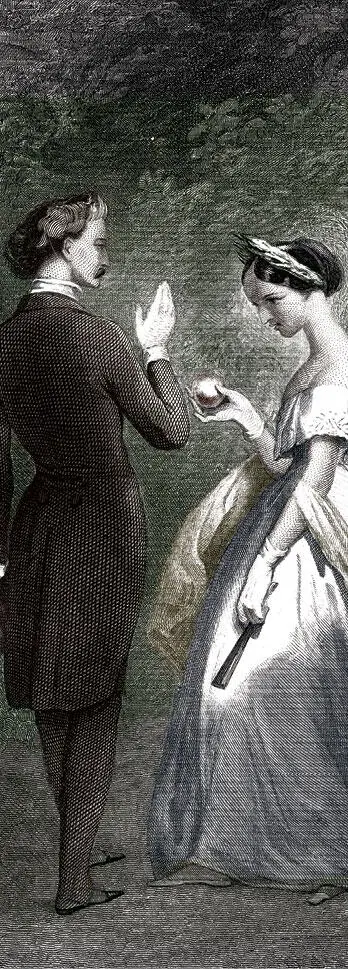 Иллюстрация из издания 1846 года Художник Тони Жуанно 1803 1852 История - фото 15