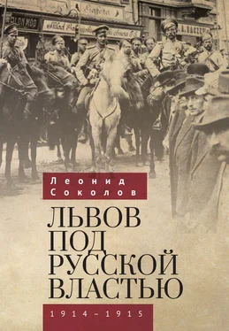 Леонид Соколов Львов под русской властью. 1914–1915 обложка книги
