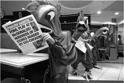 Изображение 91 курочки Greenpeace завтракают в McDonalds Источники Иржи - фото 16