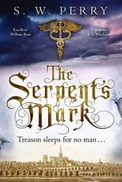 S Perry The Serpent’s Mark обложка книги