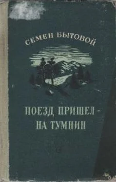 Семен Бытовой Поезд пришел на Тумнин обложка книги