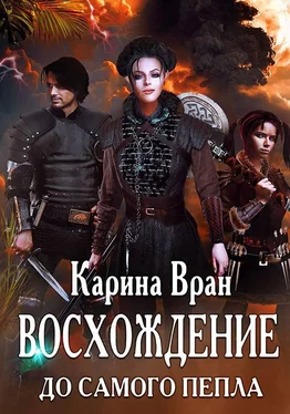 Карина Вран До самого пепла [СИ] обложка книги