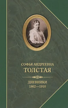 Софья Толстая Дневники 1862–1910 [litres] обложка книги