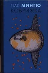 Пак Мингю - Коврижка