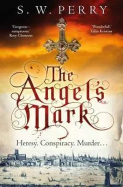 S PERRY The Angel’s Mark обложка книги