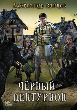 Александр Зайцев Чёрный центурион обложка книги
