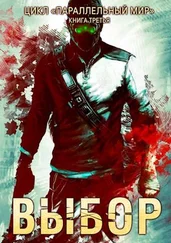 Дмитрий Серебряков - Выбор [СИ]