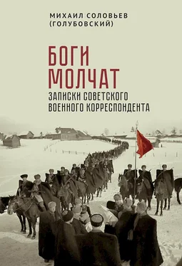 Михаил Соловьев Боги молчат. Записки советского военного корреспондента [сборник] обложка книги