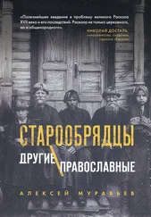 Алексей Муравьев - Старообрядцы. Другие православные [litres]