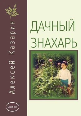 Алексей Казарин Дачный знахарь обложка книги