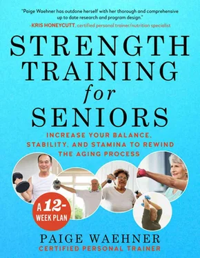 Paige Waehner Strength Training for Seniors: Increase your Balance, Stability, and Stamina to Rewind the Aging Process обложка книги