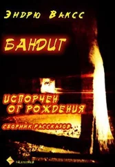 Эндрю Вакс - Бандит