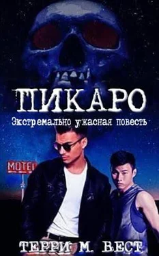 Терри Вест Пикаро обложка книги